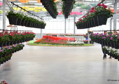 De ingang bij de tuin van Perry van den Haak was stijlvol gedecoreerd.